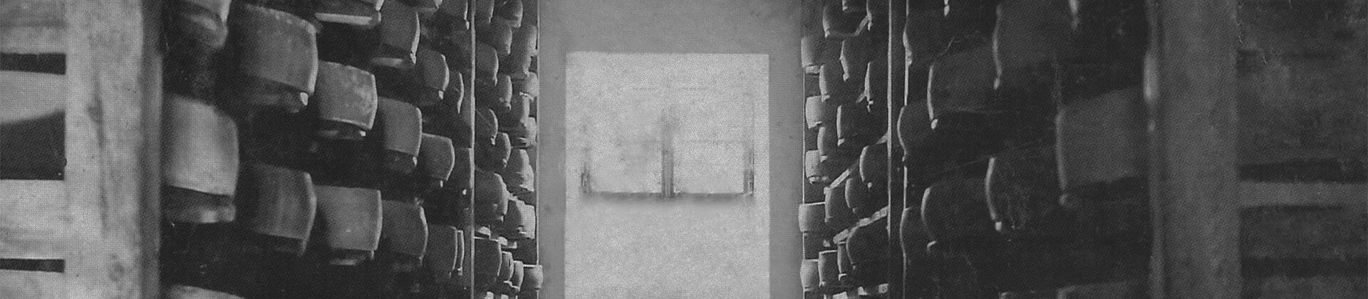 Käseleibe der Firma WOERLE liegen in 2 Regalen. Ein Foto in schwarzweiß