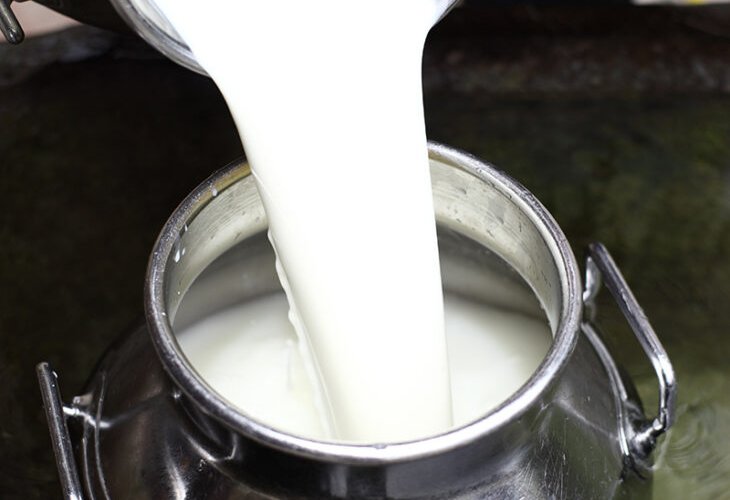 Milch aus dem Salzburger Land in der Milchkanne