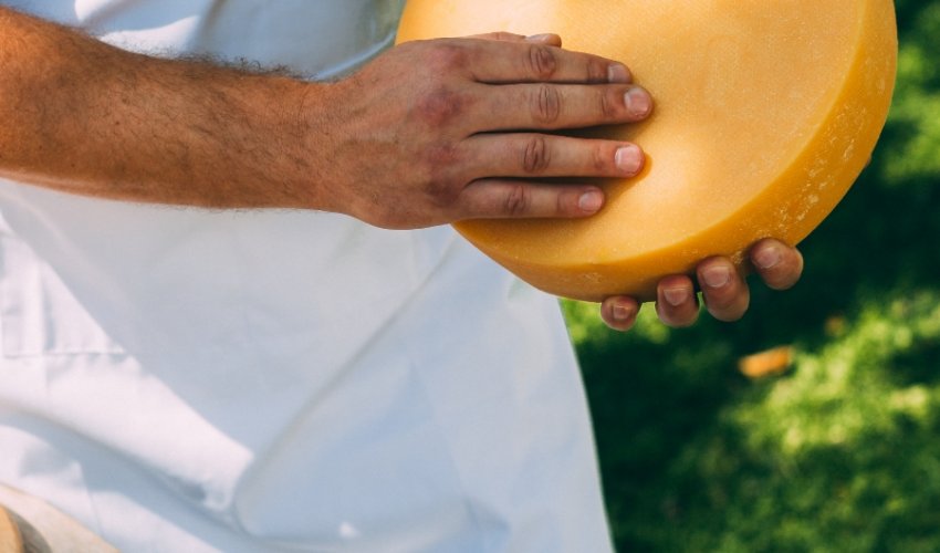 Runder Heumilch-Käse in den Händen eines WOERLE Mitarbeiter