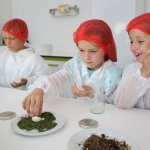 Kinder im Labor - Käserei Woerle