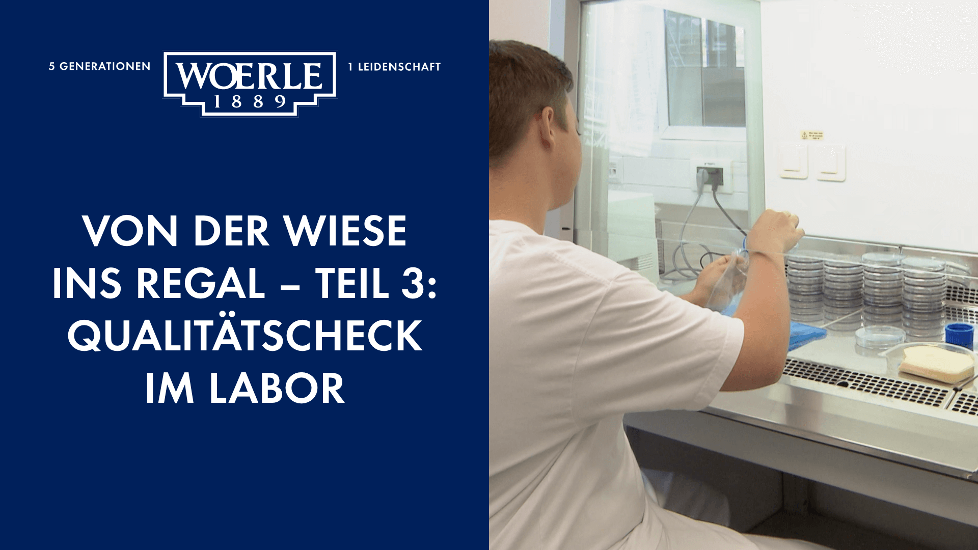 WOERLE_YouTube_Von-der-Wiese_Teil03