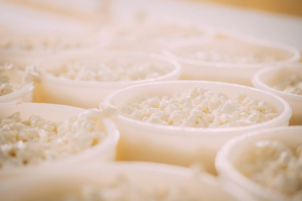 Käsebruch, Käseform